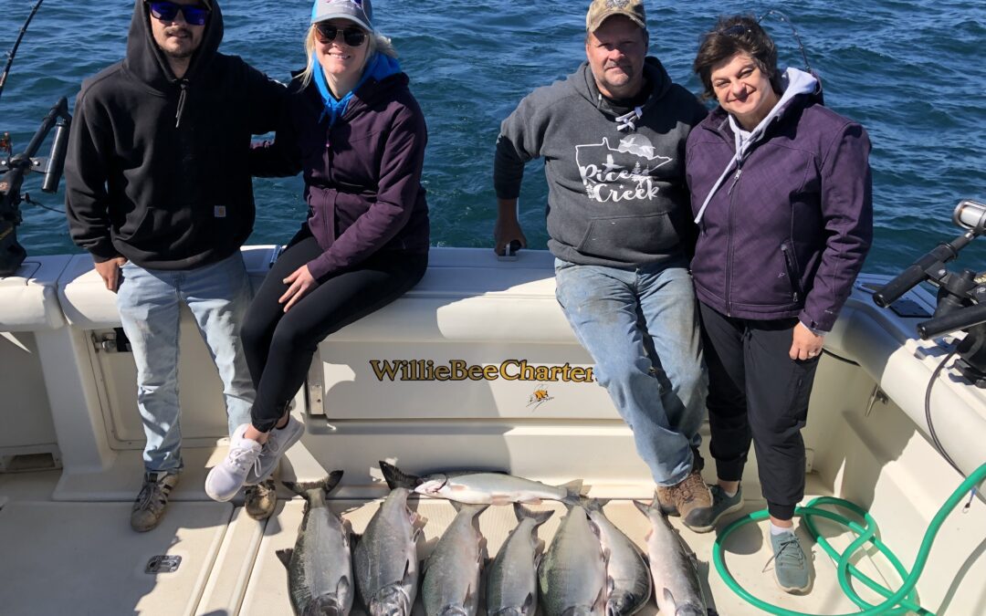 More Salmon