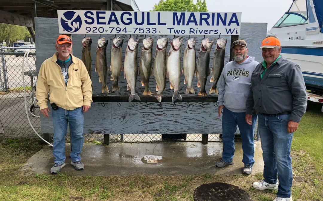Some Big Lake Trout