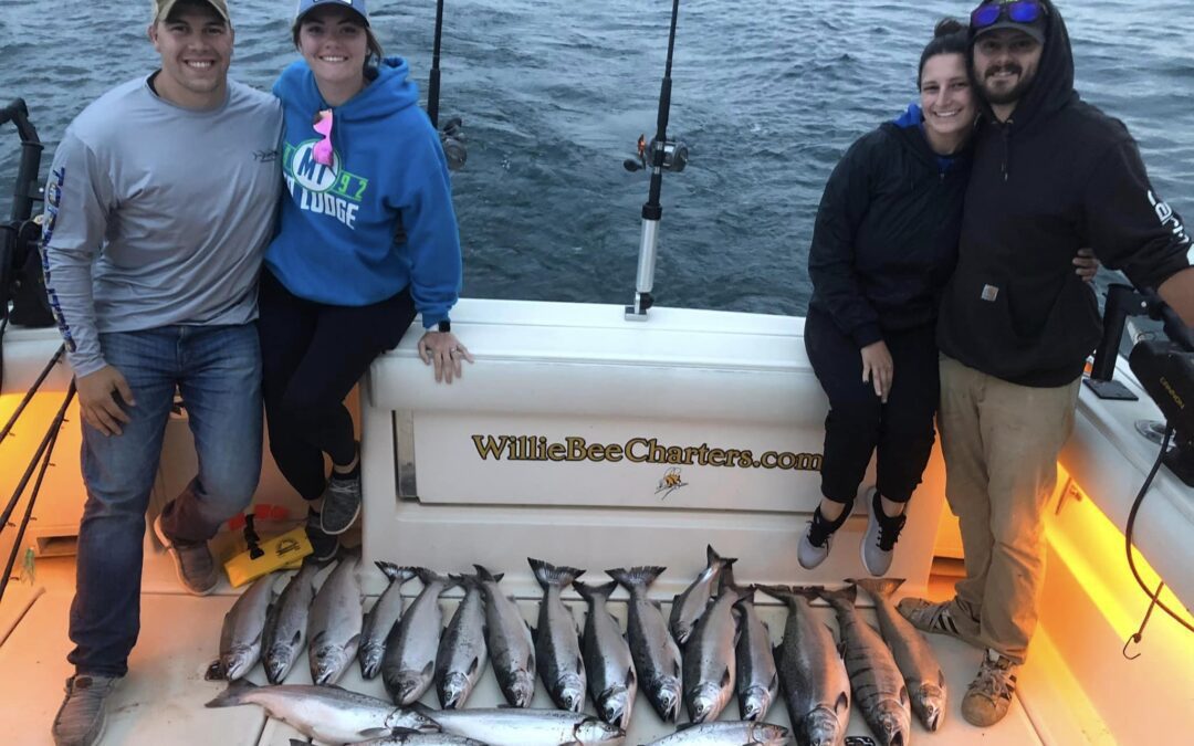Salmon Limit Catch