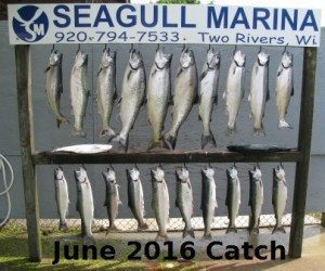 Willie Bee Charter