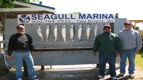 More Nice Catches