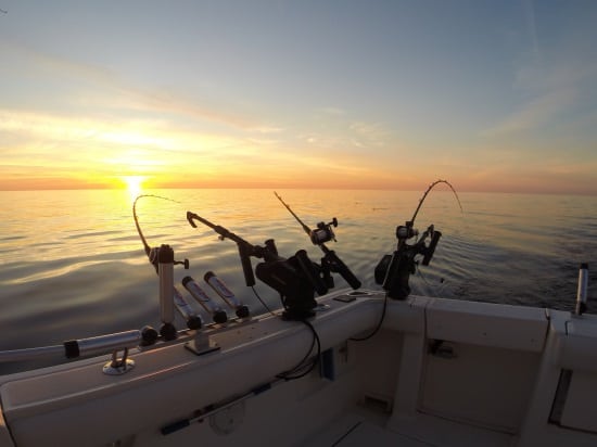 Thanks for Fishing on the Willie Bee!