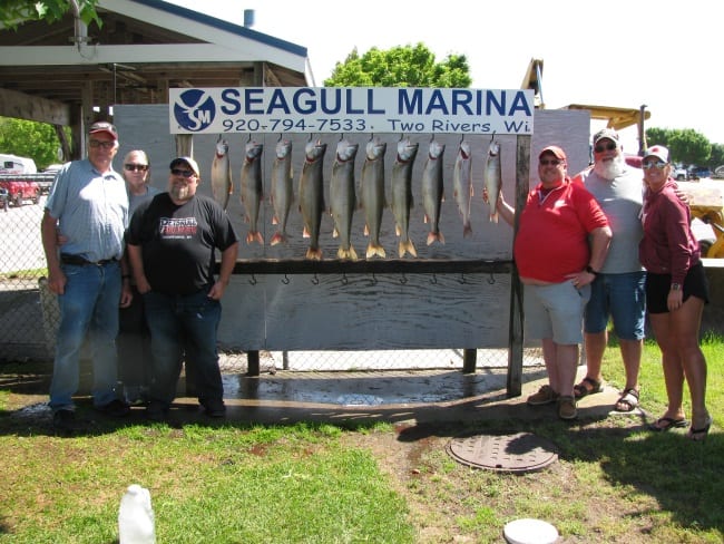 Working for fish