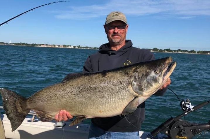 A 34lb King Salmon